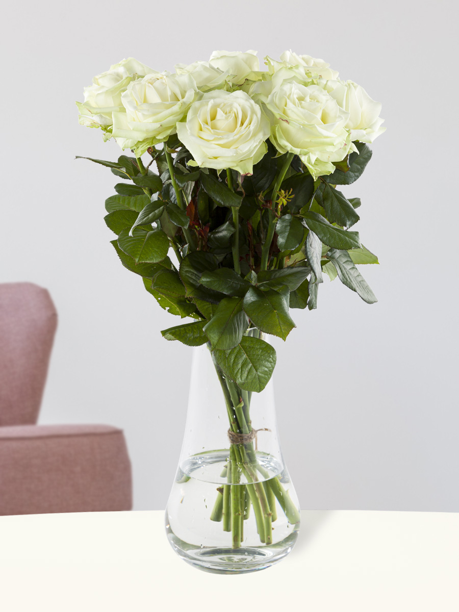 Long Stem White Rose Bouquet