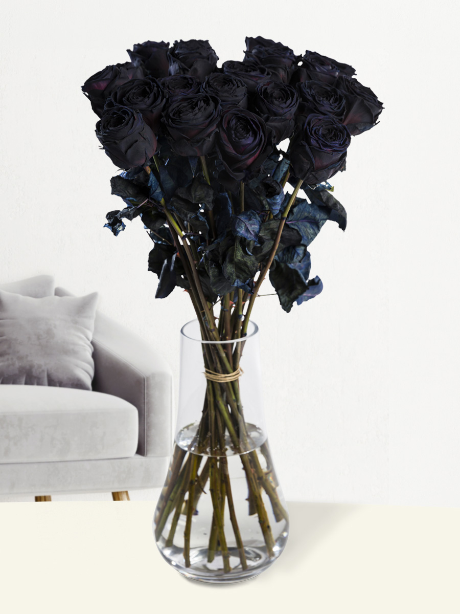 12 Black Dream Roses with store Vase