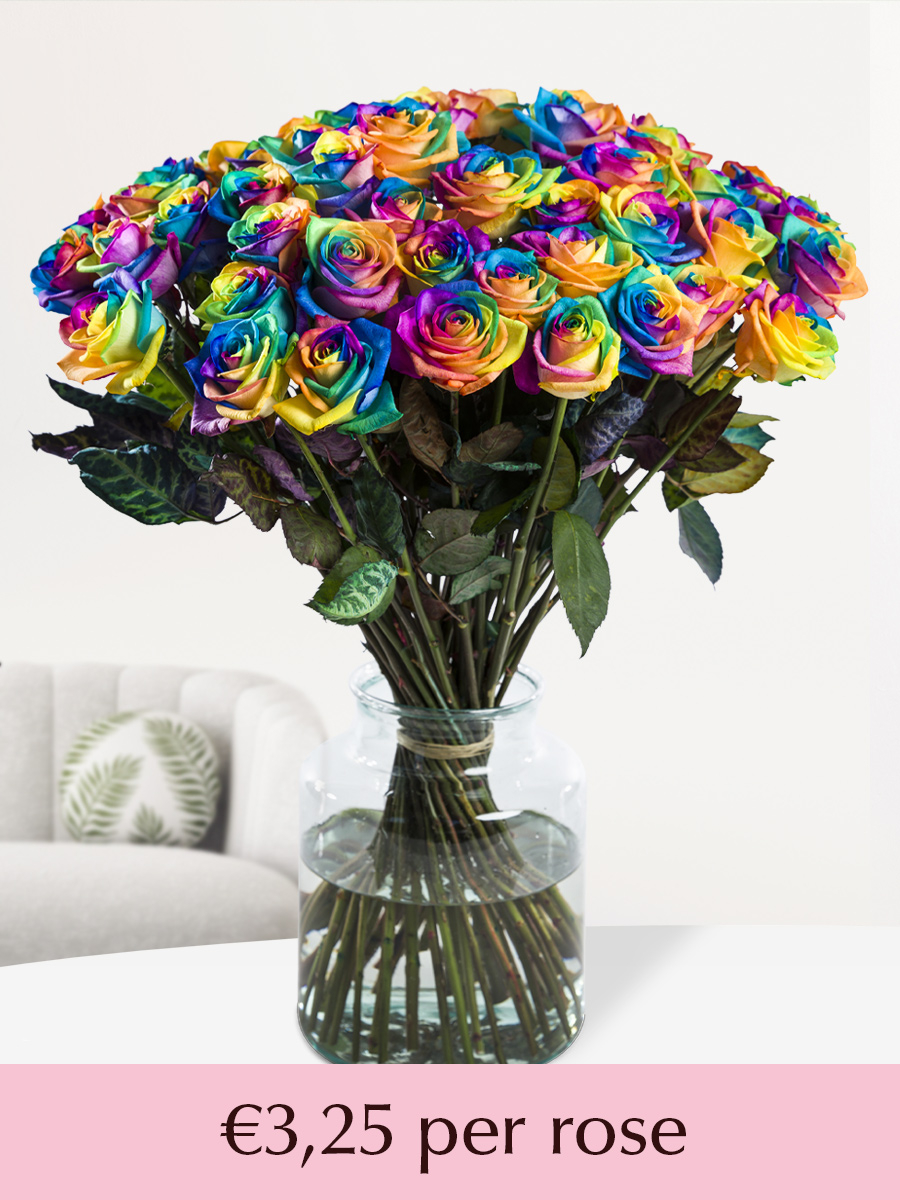 One Dozen Rainbow Roses with Birthday Pick