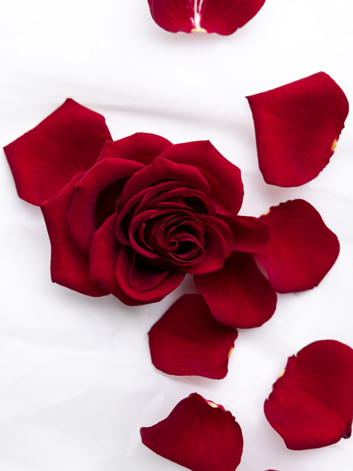 Red rose petals | Order rose petals online | SURPROSE.COM