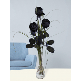 Three black roses with glass vase | Black roses | SURPROSE