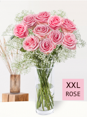 10 pink roses with gypsophila