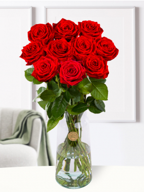 10 red roses - Red Naomi