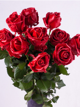 10 red waxroses