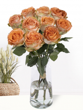 10 salmon coloured roses from Ecuador