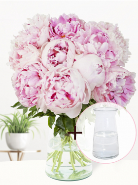 10 soft pink peonies with glass vase Evita