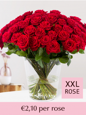 100 till 499 red roses - Red Naomi