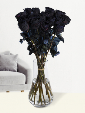 20 black roses