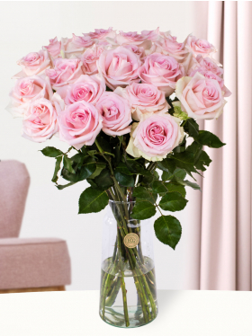 25 soft pink roses - Sweet Revival