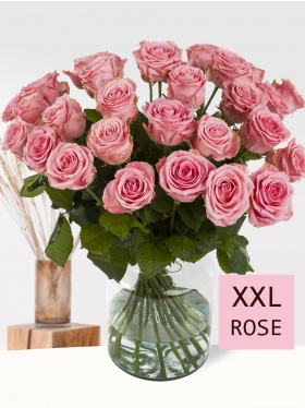 30 pink roses XXL