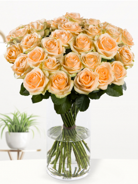 30 salmon-coloured roses