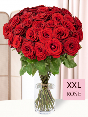 40 red roses - Red Bentley