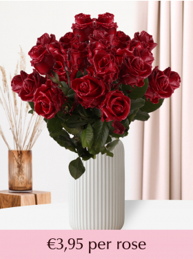 Burgundy wax roses - 10 till 99 roses