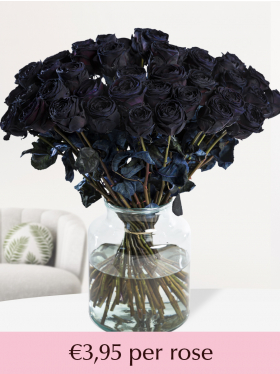 10 to 49 black roses