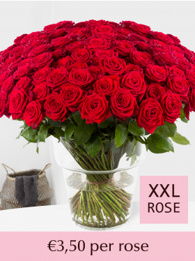 Choose your number of red roses - 100-499 - Valentine's Day