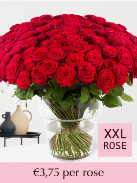 Choose your number of red roses - 100-499 - Valentine's Day