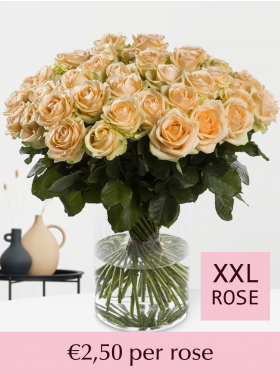 10 to 99 salmon-coloured roses