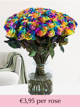 50 till 99 rainbow roses