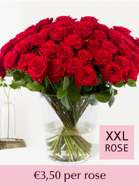 Choose your number of red roses - Red Naomi | Valentine's Day