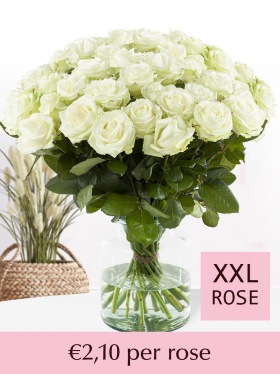 Choose your number of white roses - 100 till 499