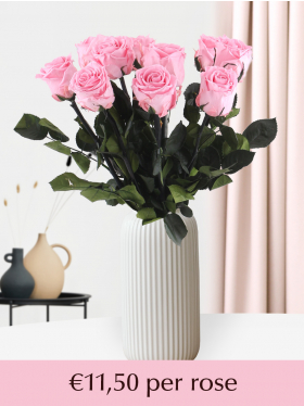 Soft pink long life roses