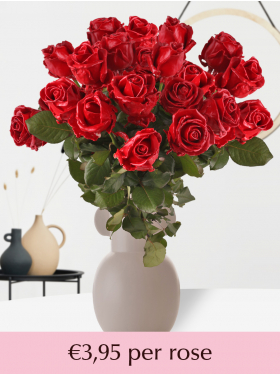 Red wax roses - 10 till 99 roses