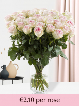 10 to 99 soft pink roses