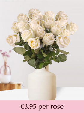 White wax roses - 10 till 99 roses