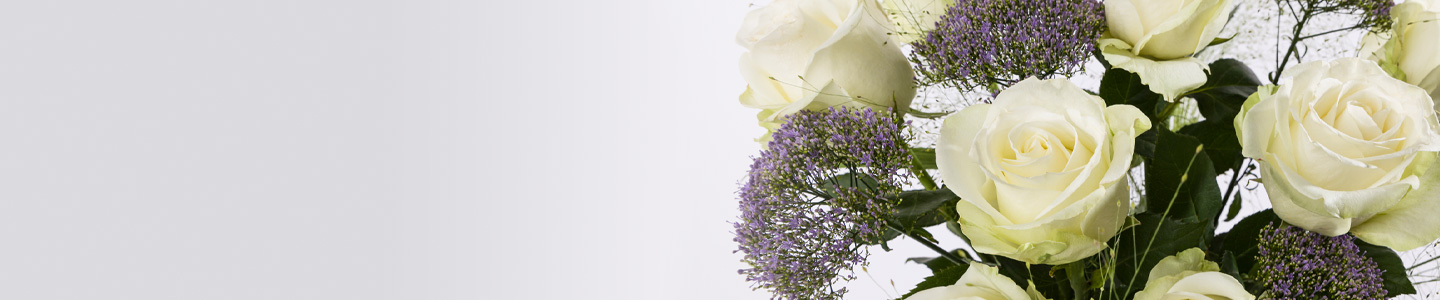 White Snowstorm roses