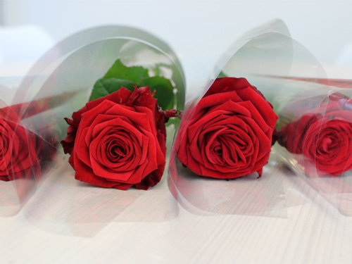 Order roses for graduation ceremony