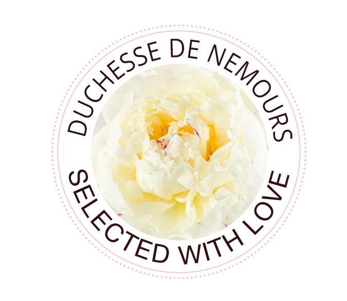 Duchesse de Nemours rose