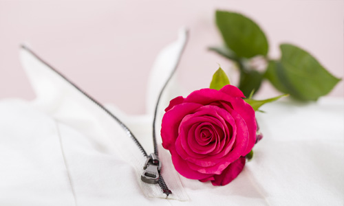 Blog: Facts about roses
