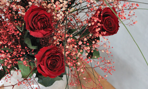 Blog: Long life roses