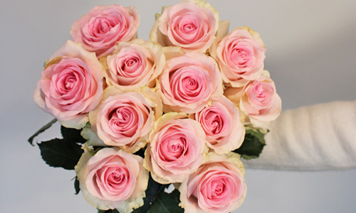 The meaning of pink roses