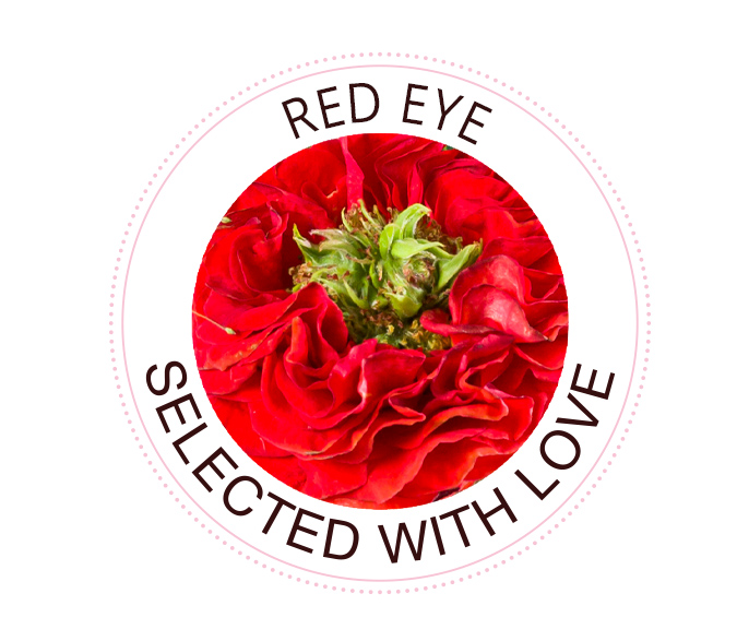 The Red Eye rose