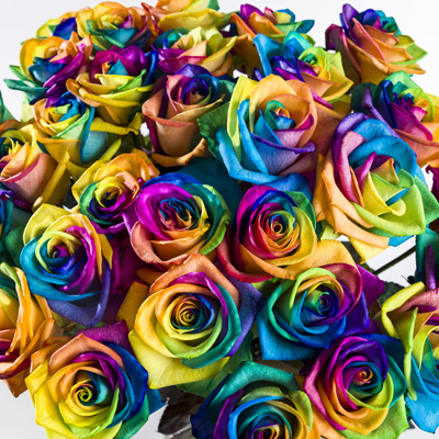 Order rainbow roses