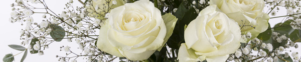 Roses with gypsophila and eucalyptus