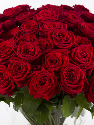 Order roses per piece