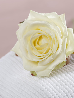 Meaning of white roses