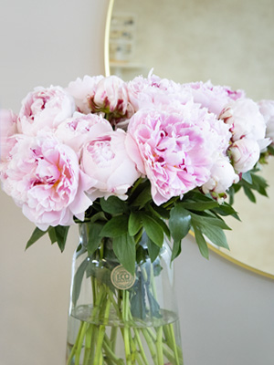 Peonies