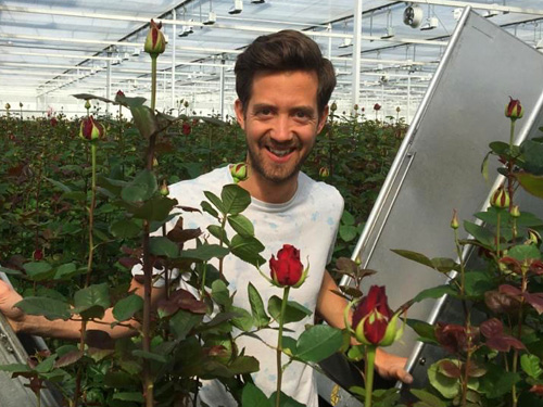 Grower: Meewisse Roses