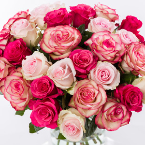 Mix of 30 pink roses