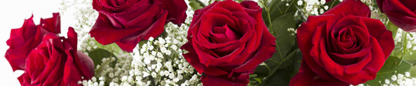 Red roses with gypsophila