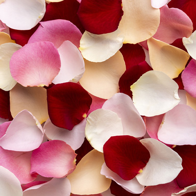 Order rose petals